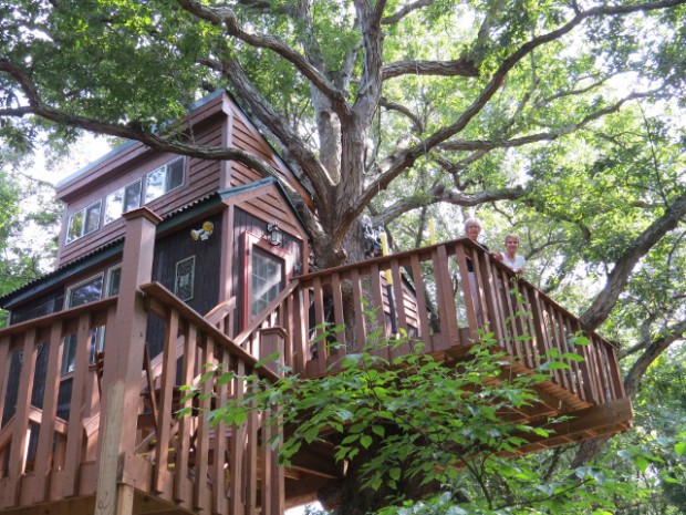 Treehouse Rentals