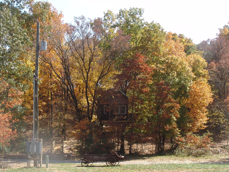 Our Treehouse Nestled in the Fall Trees