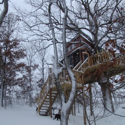 Our white oak treehouse covered in snow